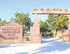 Machia bio park