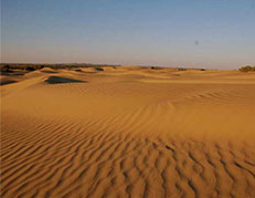Osian Sand Dunes